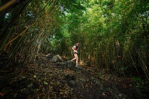 BIB: 
                            <button type="button" onclick="openModal(25102709)" class="btn btn-primary btn-sm float-right btn-popup" data-toggle="modal" data-target=".modal-high-quality">
                        <i class="fas fa-shopping-cart"></i> Add to Cart
                    </button>
                                            <button type="button" onclick="isThisMe(25102709, true)" class="btn btn-success btn-sm float-right btn-popup btn-isme hidden" data-toggle="tooltip" data-placement="bottom" title="นี่คือรูปของคุณใช่ไหม คลิกที่นี่เพื่อเอาเข้าอัลบั้ม">
                        <i class="fas fa-plus"></i> Add to album
                    </button>
                    <button type="button" onclick="isThisMe(25102709, false)" class="btn btn-warning btn-sm float-right btn-popup btn-isnotme hidden">
                        <i class="fas fa-ban"></i> Remove from album
                    </button>